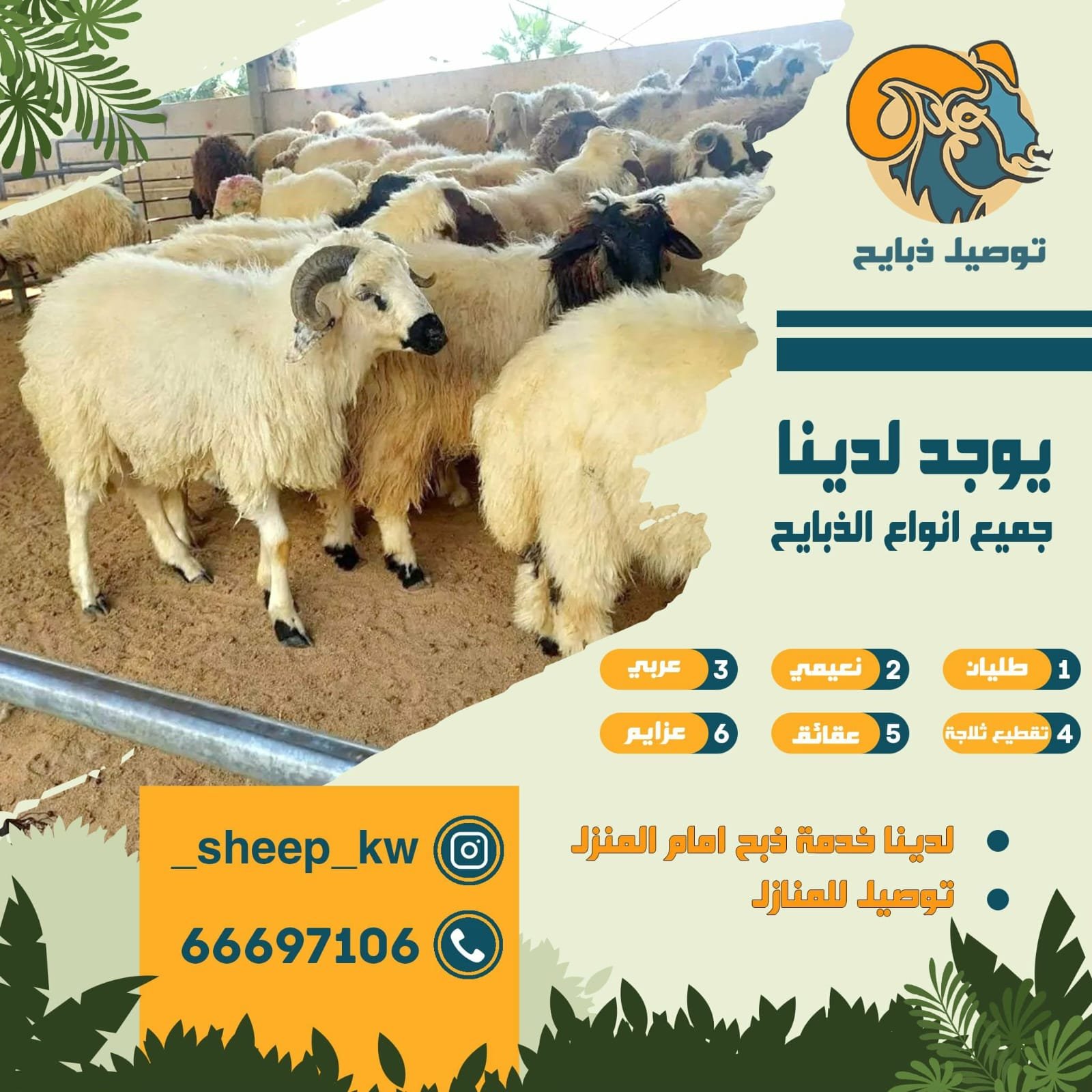 توصيل